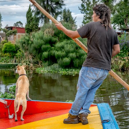 Boy and dog on gondola-like trajinera boat on Xochimilco canal.