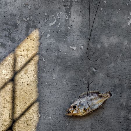 Art is fish on a string at Salton Sea, California.