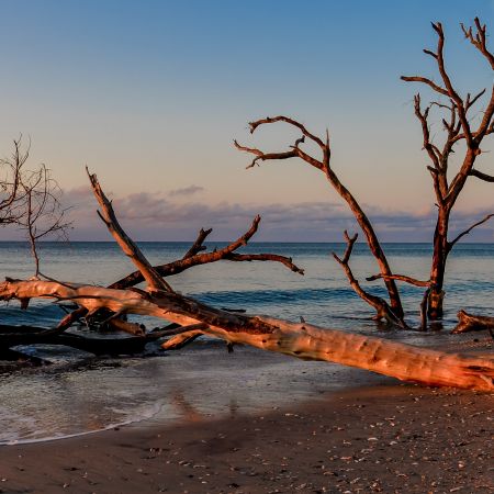 Sunrise over Boneyard Beach, Botany Bay Plantation, Edisto Island, Charleston South Carolina.