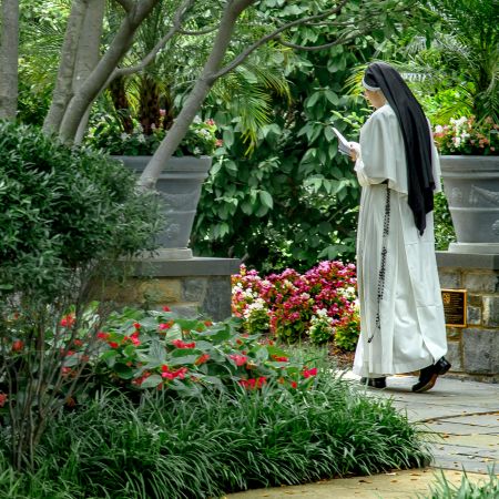 Nun walking through gardens of the Basilica of the National Shrine of the Immaculate Conception