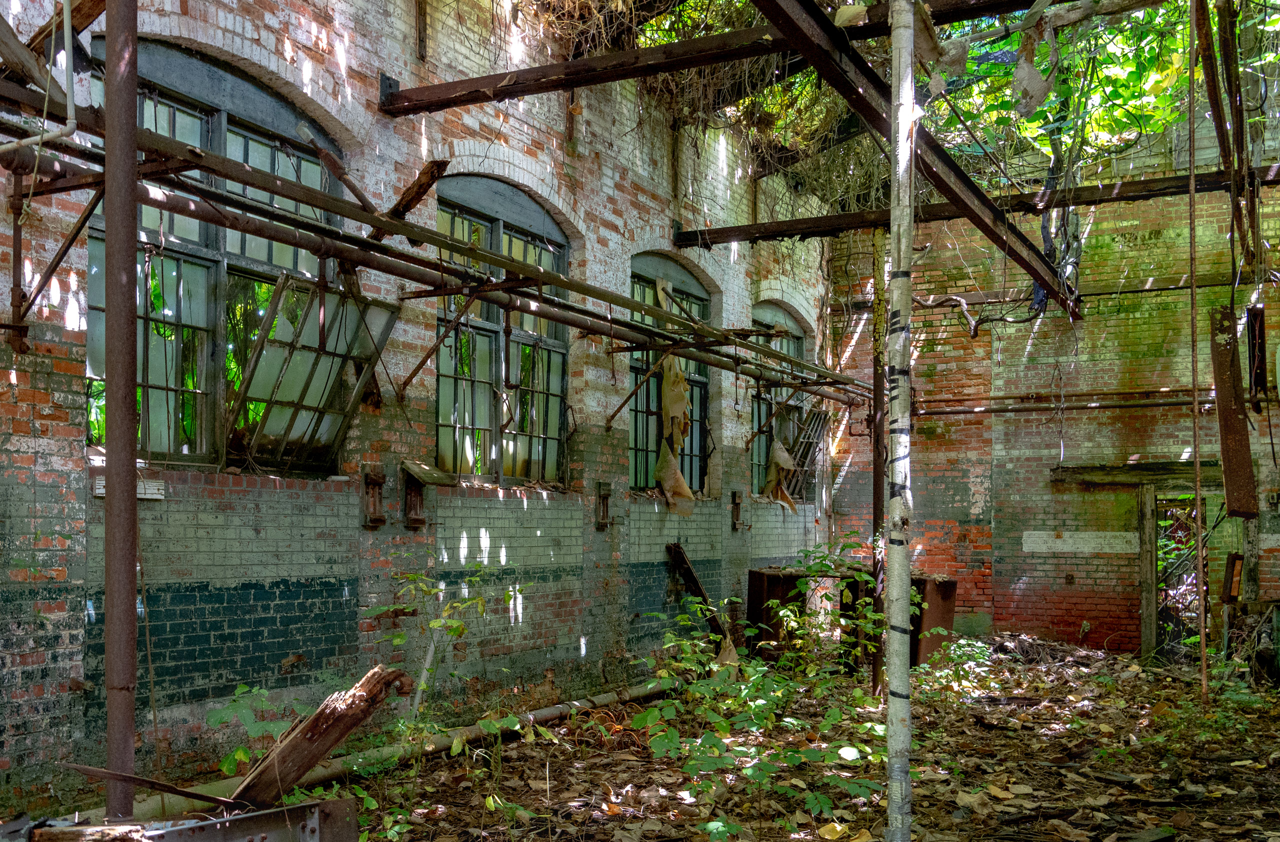 Abandoned Factory Courtyard 