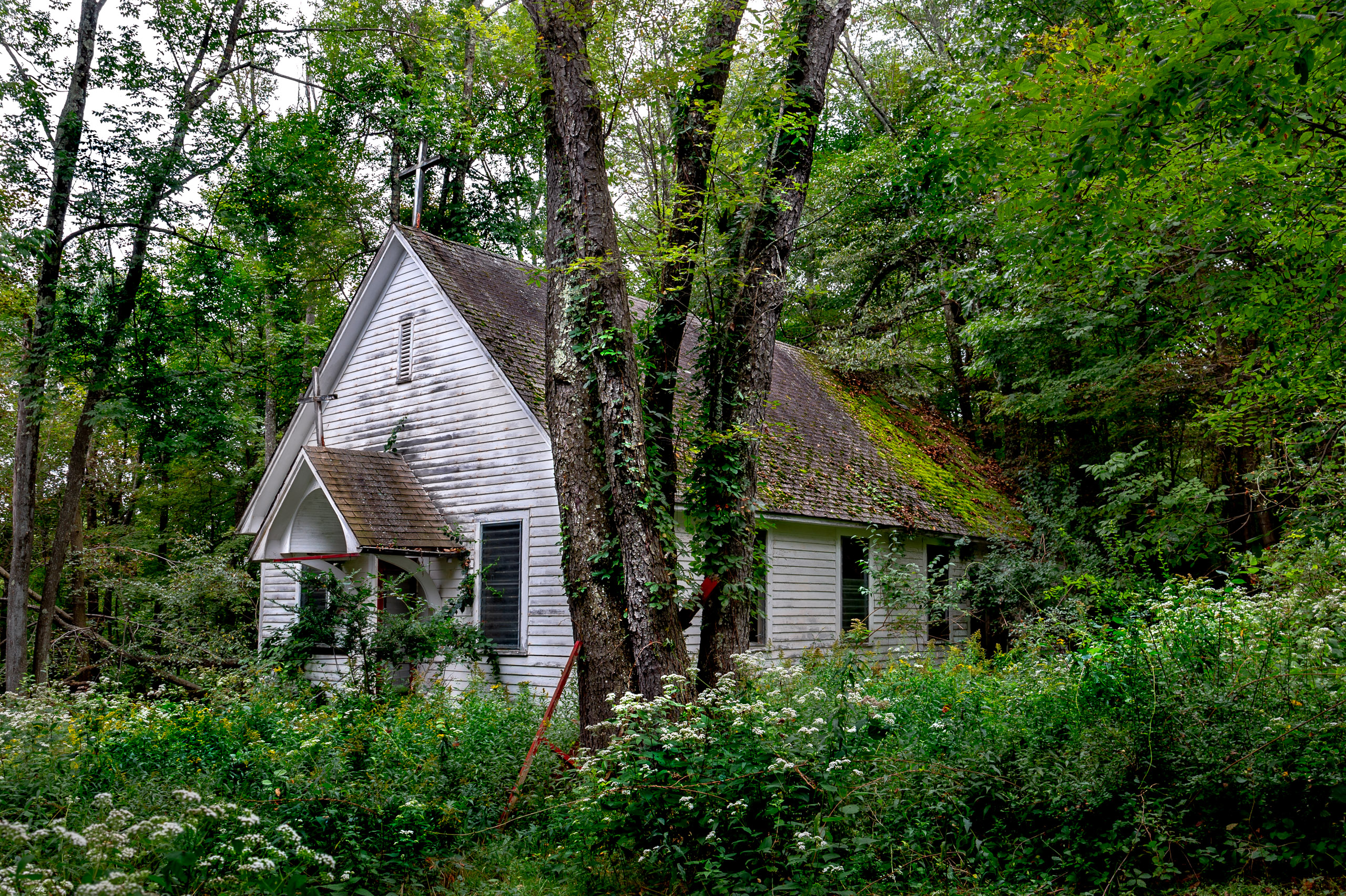 Abandoned Chapel in the Woods