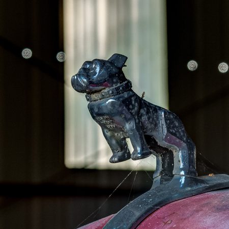 Chrome Mack truck bulldog with spiderwebs and bokeh background