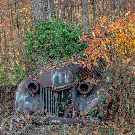 Vintage 1930s truck with vines and shrubs overtaking vehicle.