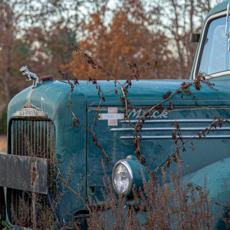 Old 1940s green Mack truck with standing bulldog on grill.