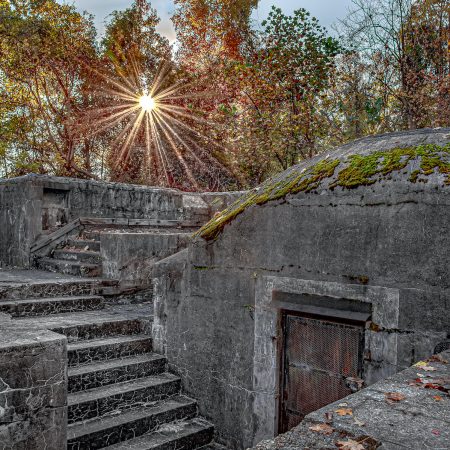 Sunrise sunburst through trees at Fort Hunt Alexandria battery.