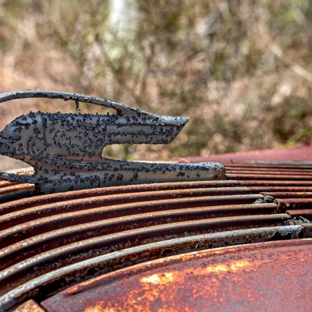 1940s flying goddess Art Deco hood ornament.