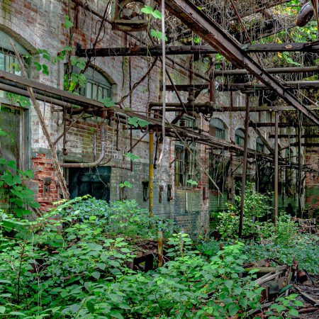 Abandoned textile factory with an overgrowth of green vines and trees along the transport rails, windows and overhead roof structure.