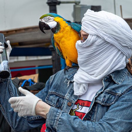 Pet Parrot at Black Lives Matter March in Washington DC.