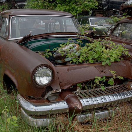 Mid-Century car with lush green plants growing from engine area.