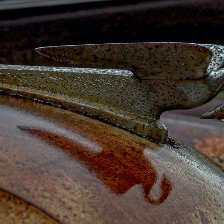 1940s Packard car long swan hood ornament and reflection on hood.