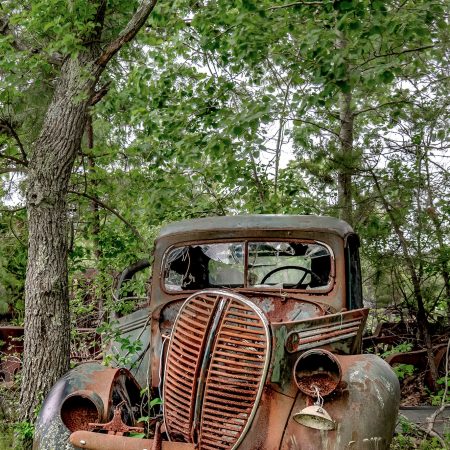 1938 Ford One Ton Pickup Truck surrounded by trees, vines and brush.