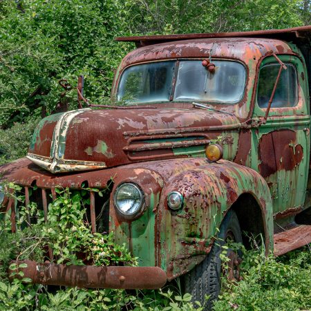 Vintage Ford dump truck framed by brush and vines.