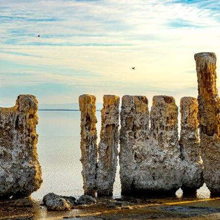 Late afternoon at Bombay Beach Salton Sea California with seagul resting on remains of a docks.