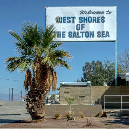 The decaying sign of West Shores of the Salton Sea seems anchored by a sickly palm tree.