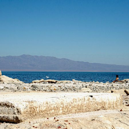 A pelican swims by the decomposing former piers and docks of Salton Sea California.