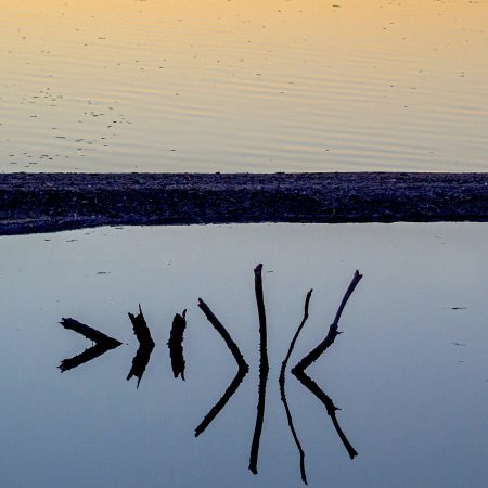 Reflects of snags on the Salton Sea water at sunset.