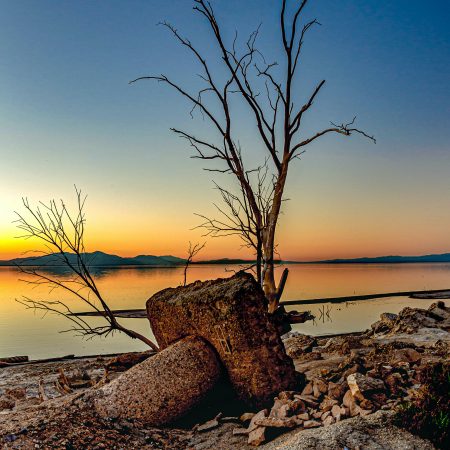 Metal trash rests against a dead tree along the Salton Sea California at sunset.