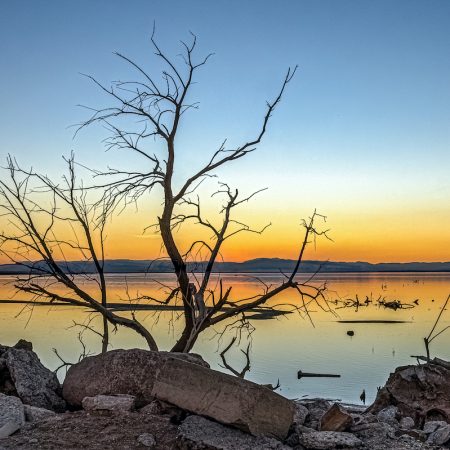 Colorful sunset with snags silhouetting the horizon at Salton Sea California.