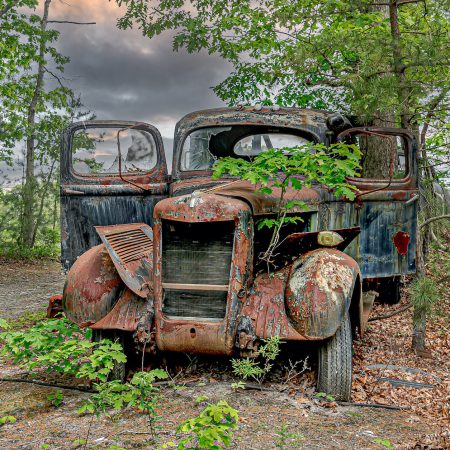 1930s truck with peeling paint, rust and green growing from engine compartment.