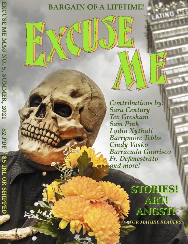 Excuse Me Magazine featuring a chapter of Cindy Vasko's Abandoned General Store.